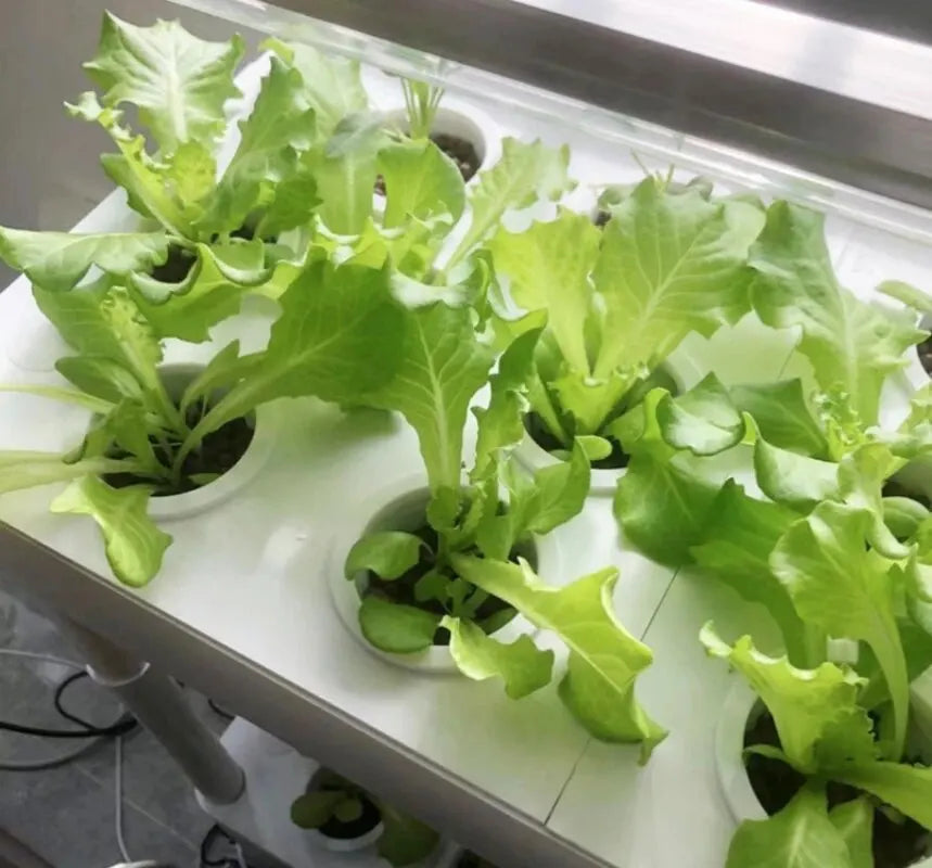 Professional 42-Pod Vertical Garden System